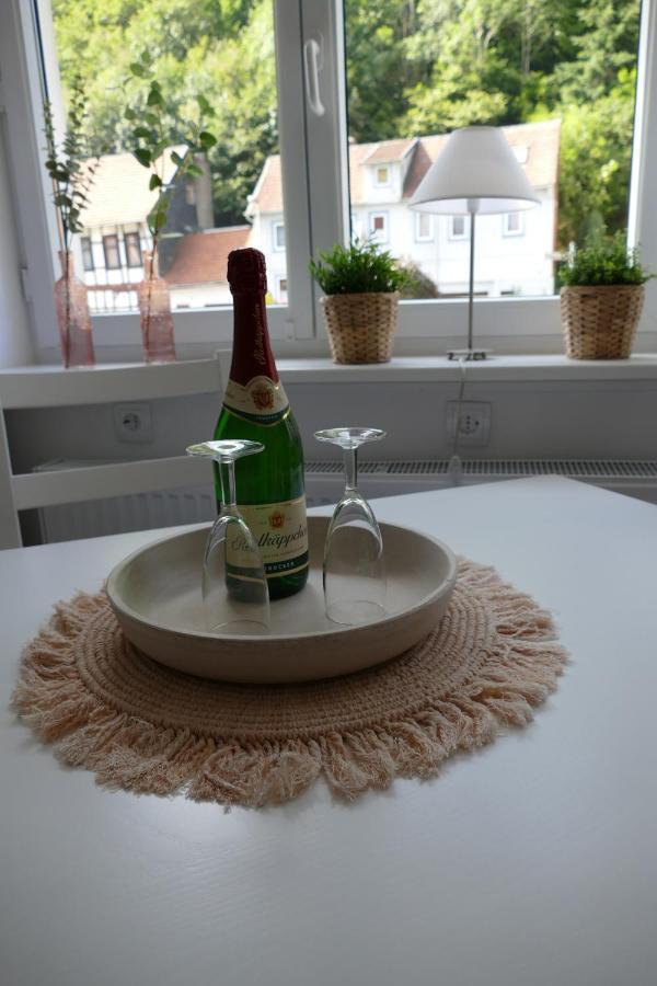 Harzapart Appartement 1 Pferdchen Walkenried Ngoại thất bức ảnh